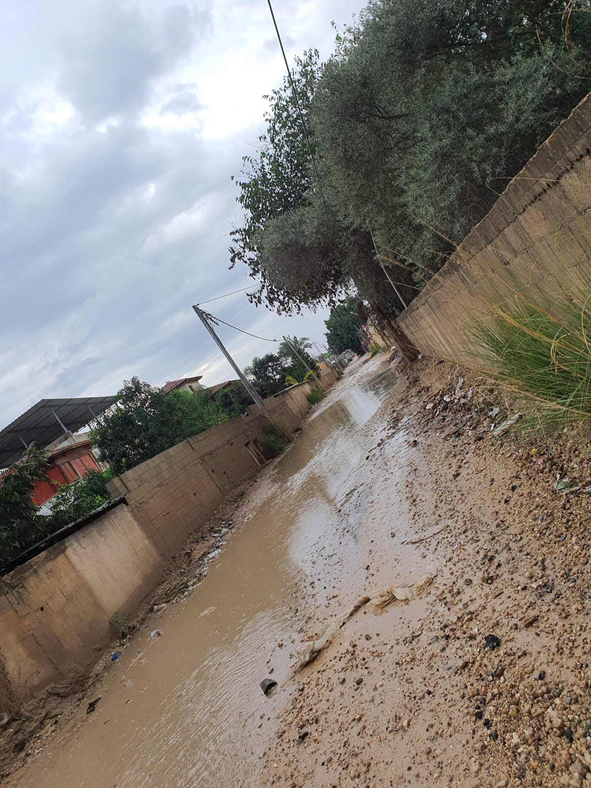 WhatsApp Image 2020-11-05 at 9.05.35 AM (2).jpeg.jpeg